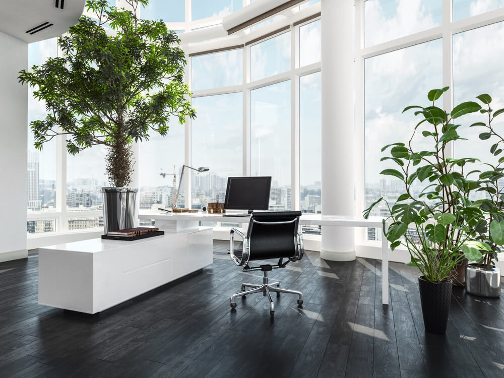 Motivos para aplicar elementos biofílicos no ambiente de trabalho