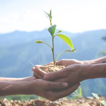 sustentabilidade-arquitetura BIM e ESG: sustentabilidade na arquitetura