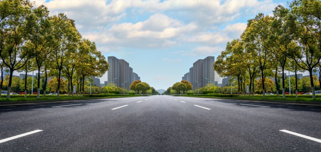 Arborização Urbana